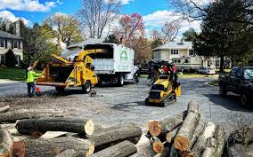 Best Lawn Mowing  in Mont Belvieu, TX